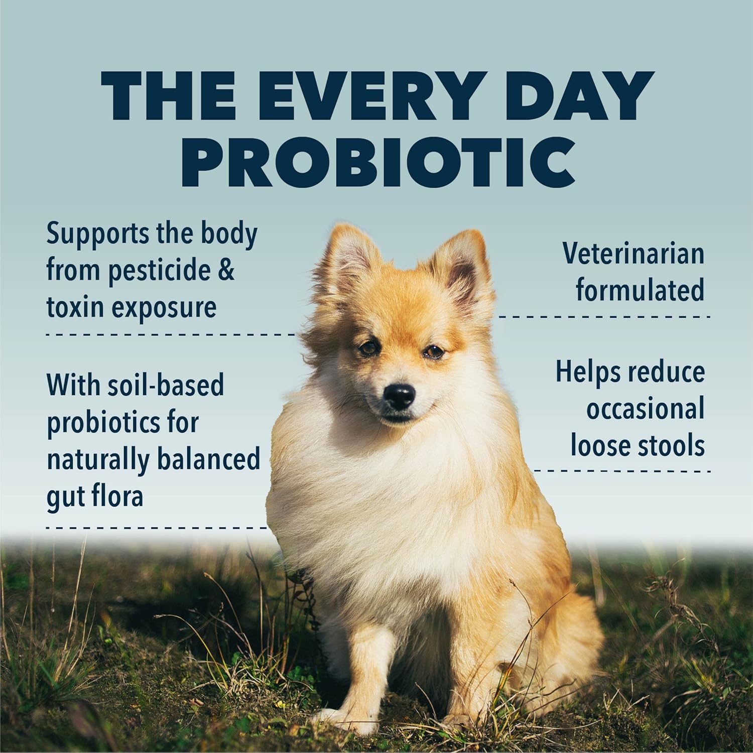 Veterinarian Formulated Probiotics for Dogs with Natural Prebiotics and Antioxidants - Supports Gut Health and Detoxification - 60 Day Supply for Large Dogs