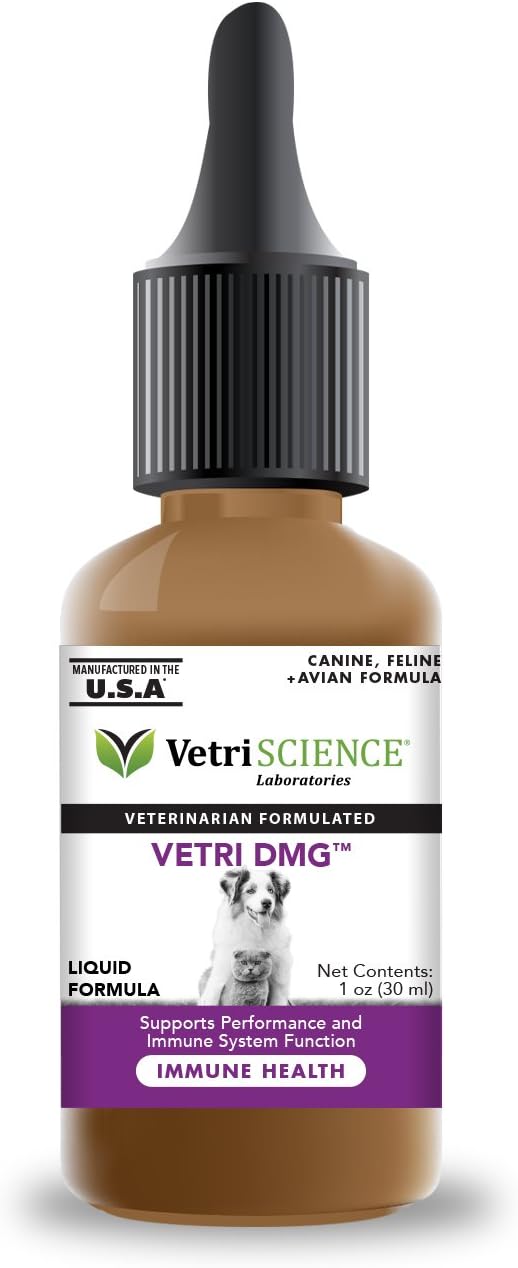 Vetri-Science Vetri DMG Liquid 30mL Dropper - Immune Support for Dogs and Cats, Stamina, Skin Irritation, Eyes, Performance