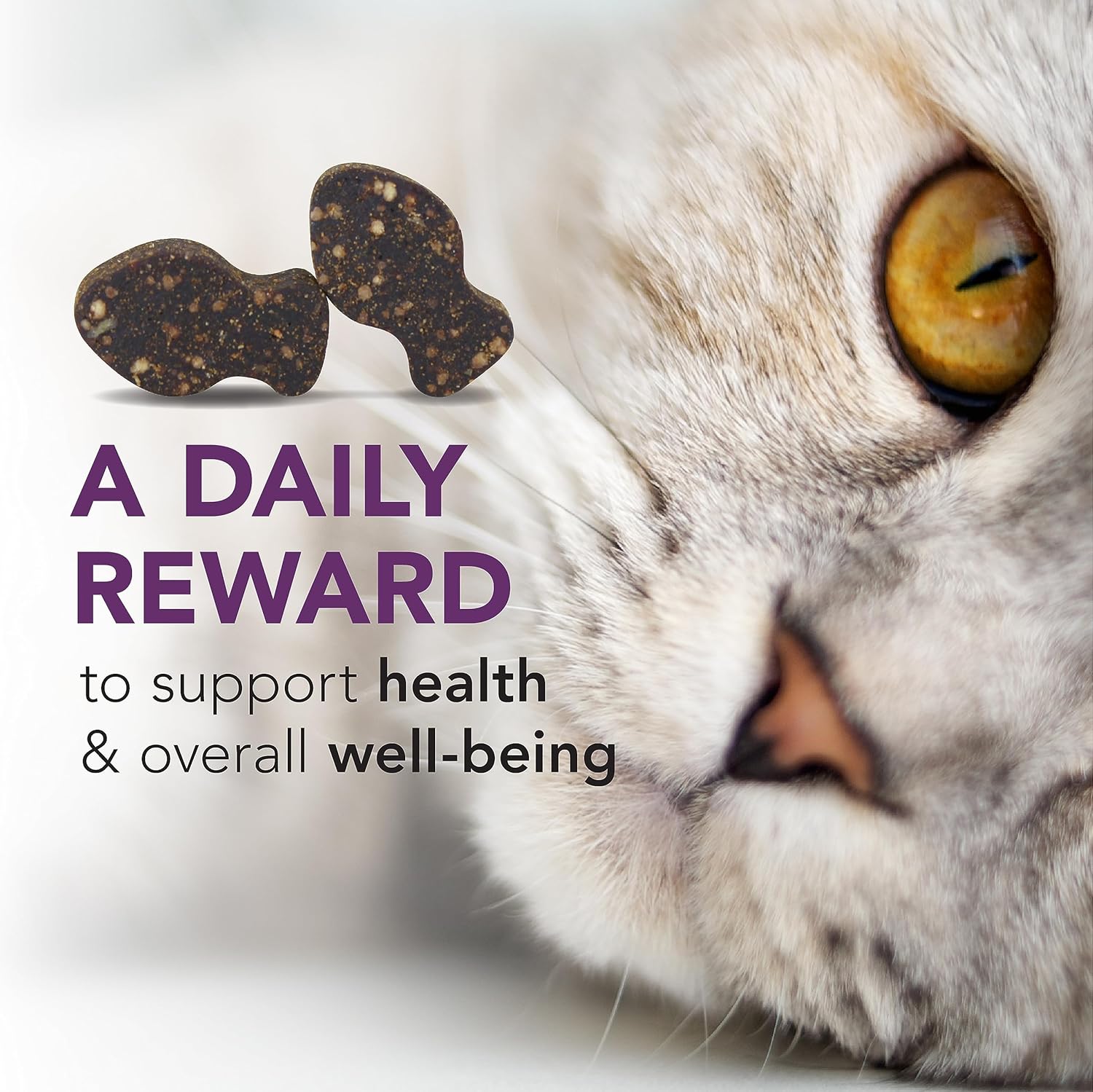 VetriScience Vetri Lysine Plus 90 Chicken Flavored Chews Cats Immune Respiratory Support Supplement