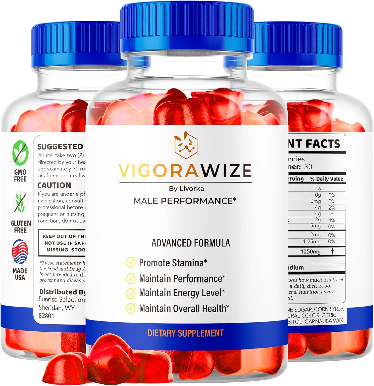 Vigorawize Gummies - Advanced Formula for Daily Health Support, 60 Gummies