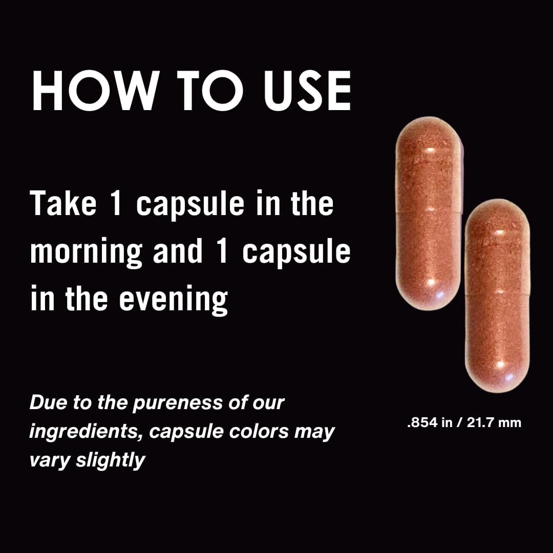 VitaArmor SunArmor Dietary Supplement with Polypodium for Fighting Photoaging, Dermatologist Developed - 60 Capsules