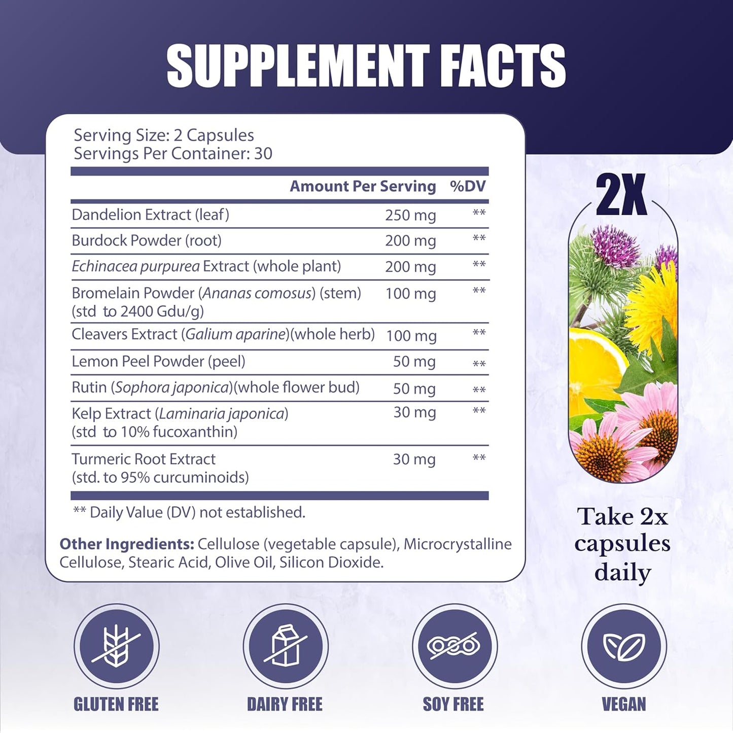 Vital Peak Bundle: NATION HEALTH MD Lymph MD and Turmeric Curcumin Extract - Improve Overall Health and Wellness