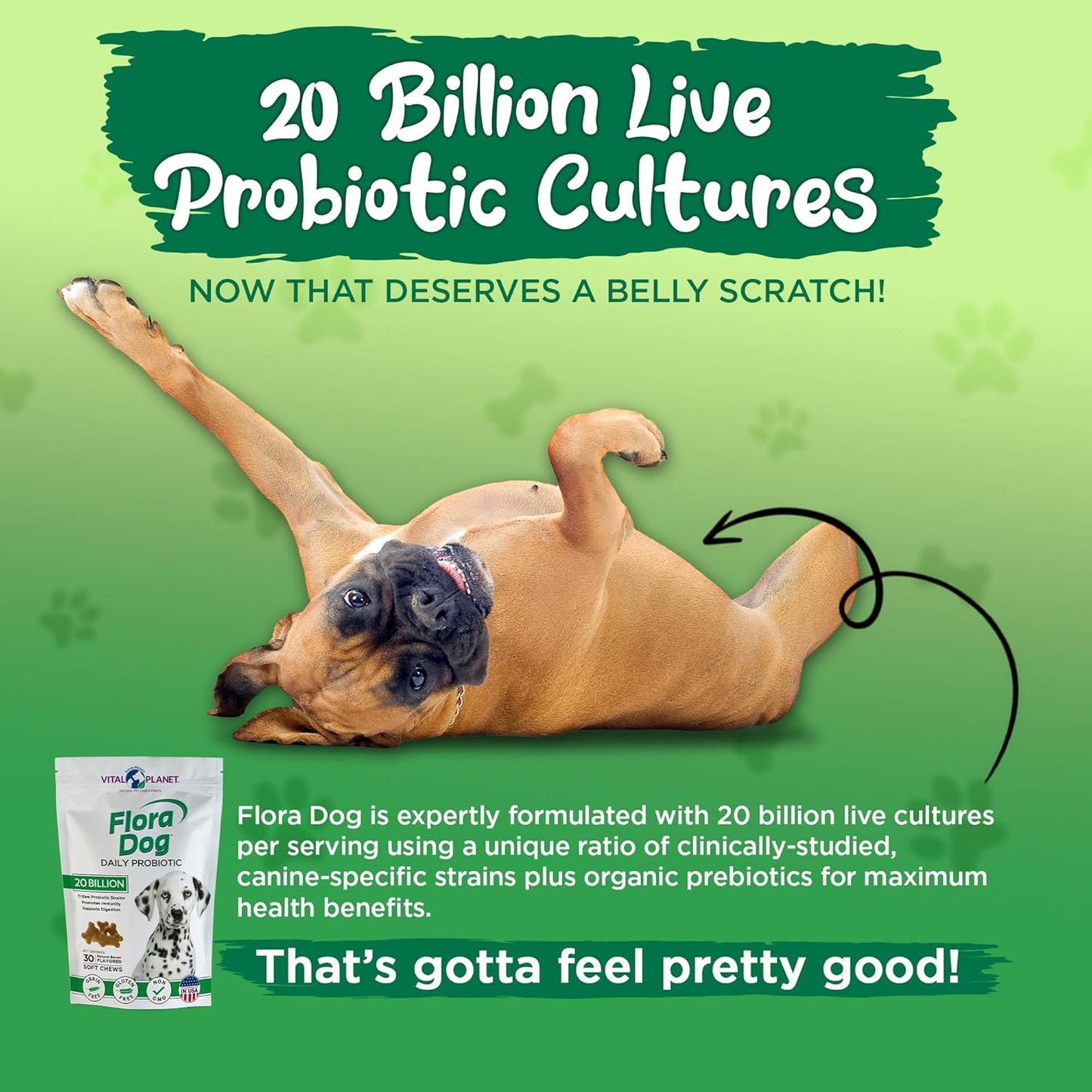Vital Planet Flora Dog Probiotics: Immune & Digestive Support Chews for Dogs, 20B Cultures, 11 Strains, 30 Bacon Flavored Soft Chews - BoostGo Australia