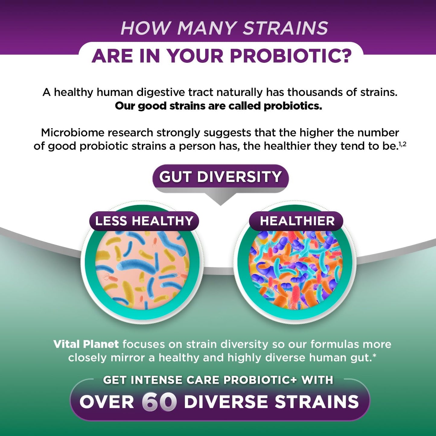 Vital Planet Intense Care Colon & Constipation Probiotics - 65 Billion CFU, 66 Strains - 30 ct Refrigerated Supplement for Adults - Digestive & Immune Support