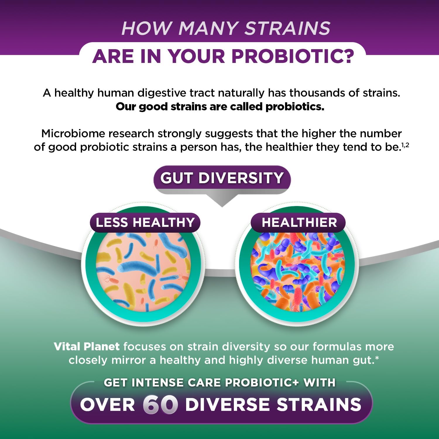 Vital Planet Intense Care Colon & Constipation Probiotics - 65 Billion CFU, 66 Strains - 30 ct Refrigerated Supplement for Adults - Digestive & Immune Support