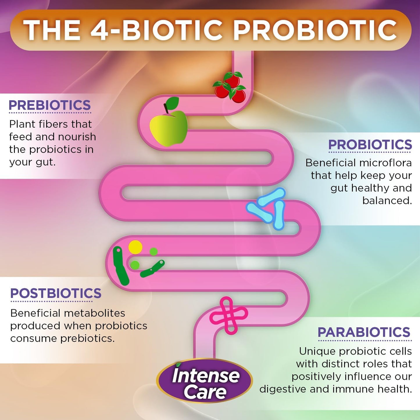 Vital Planet Intense Care Probiotics for Gas & Bloating - 4-in-1 Supplement with 65 Billion CFU, 65 Strains - Digestive & Immune Support - 30 Count