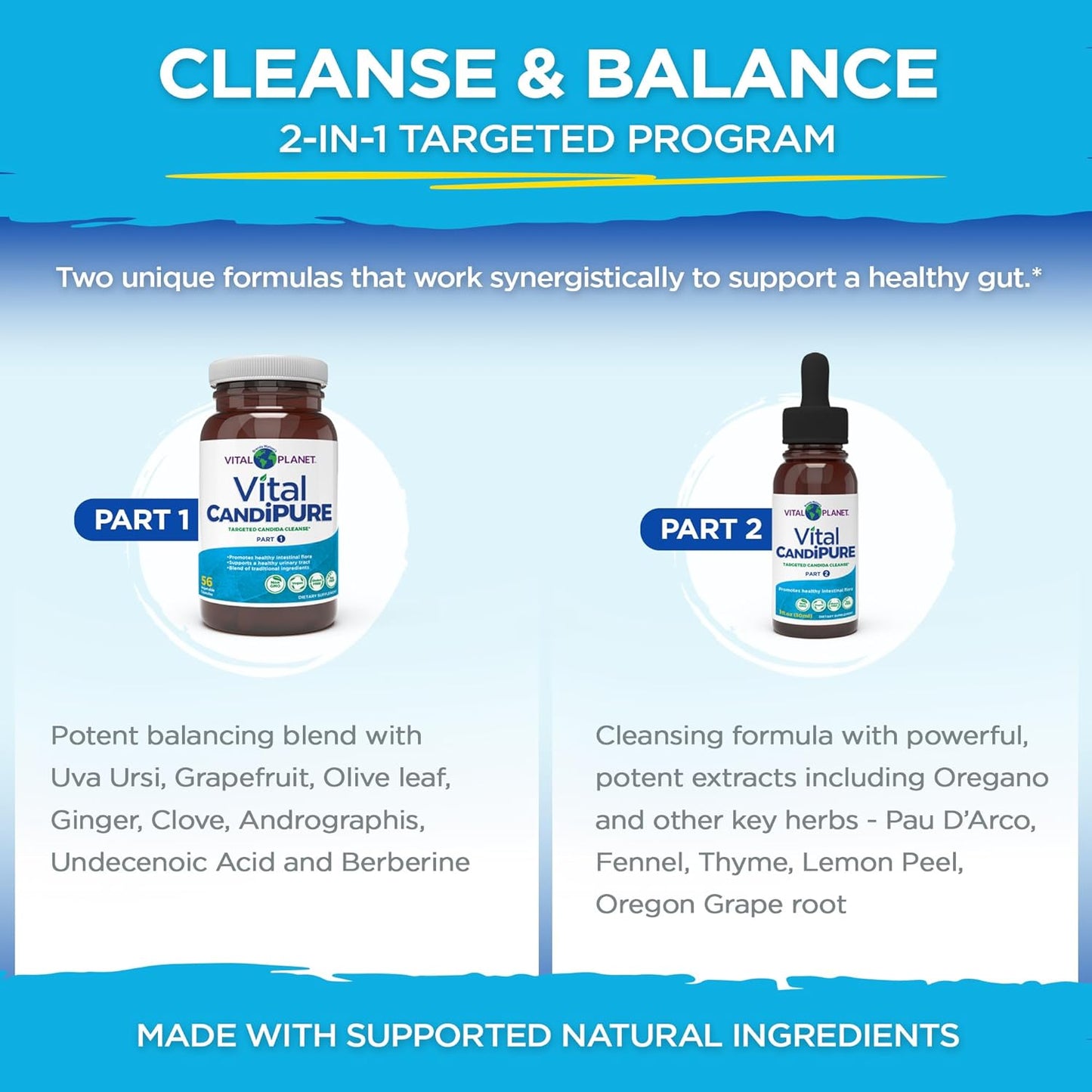 Vital Planet Vital CandiPURE Intestinal Cleanse 2-Part Kit - 56 Capsules, 1fl oz Herbal Extract - Supports Healthy Intestines
