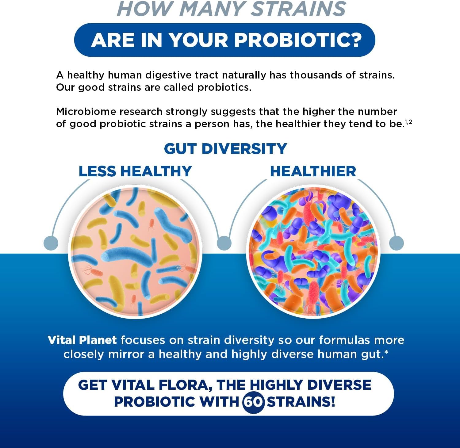 Vital Planet Vital Flora Adults 55+ Probiotic with 60 Billion CFU, Organic Prebiotics, Immune & Digestive Health - 30 Capsules