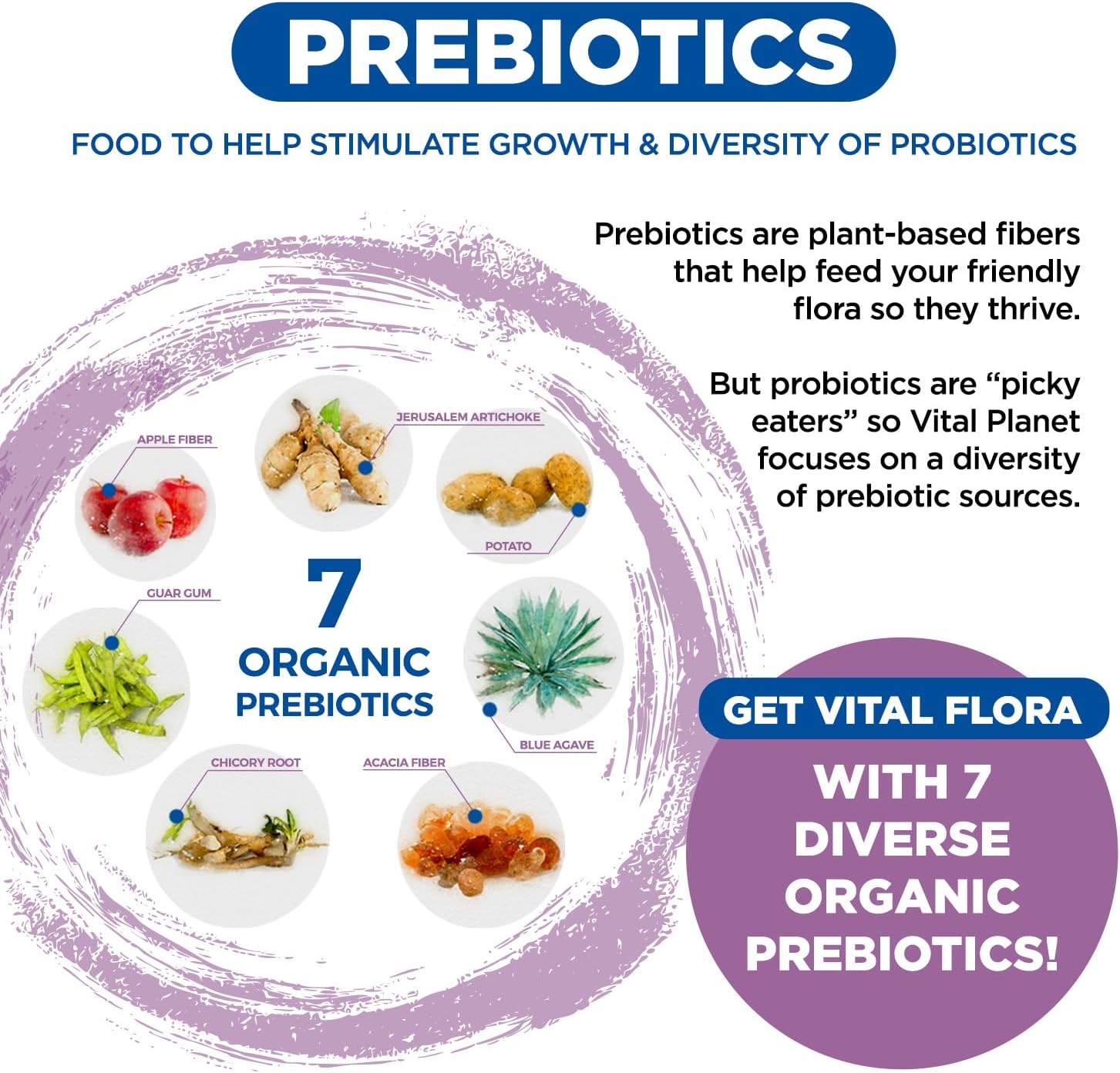 Vital Planet Women's Daily Probiotic - 60 Billion CFU, Diverse Strains, Organic Prebiotics - Immune and Vaginal Support - 60 Capsules