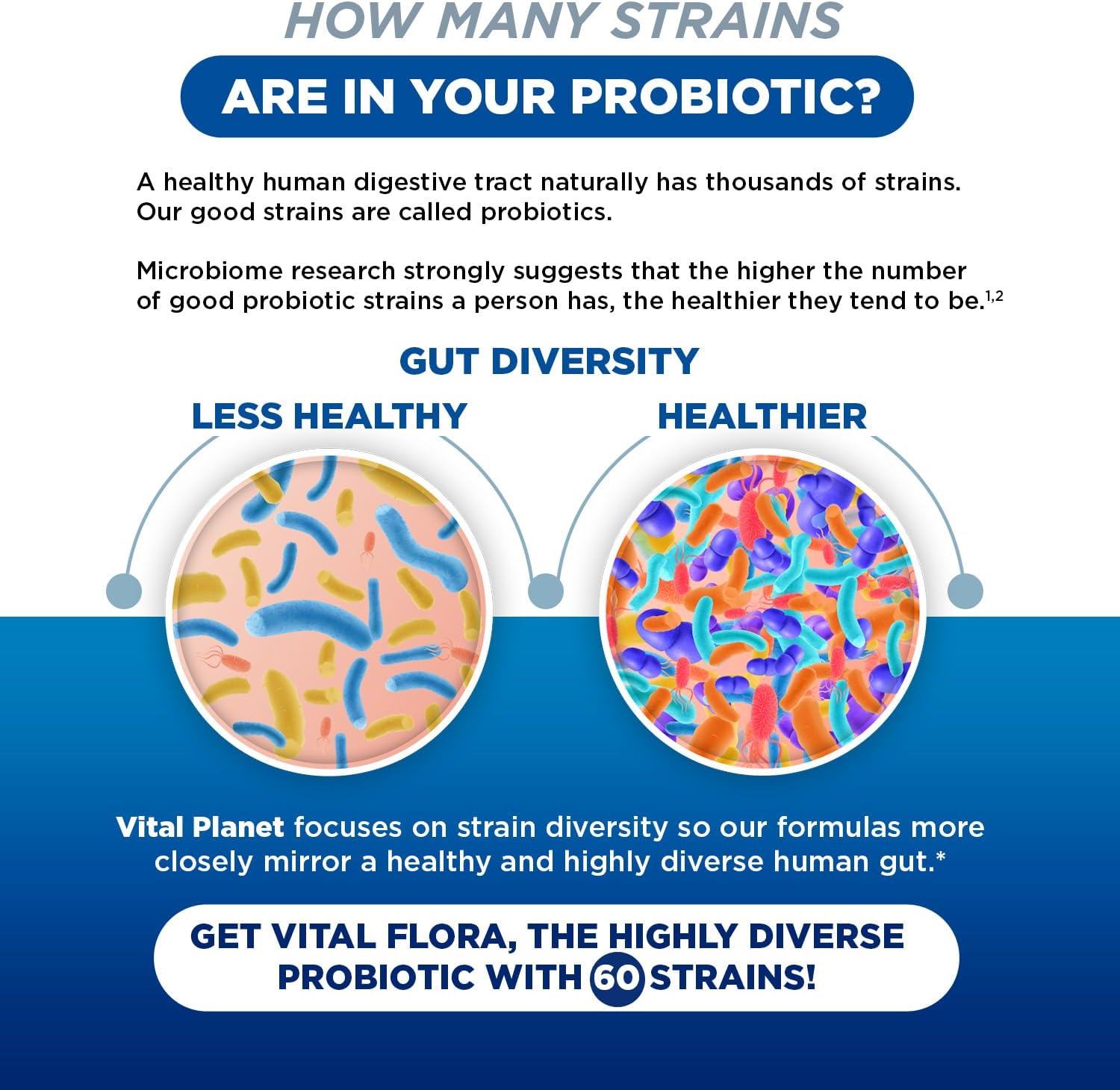 Vital Planet Women's Daily Probiotic - 60 Billion CFU, Diverse Strains, Organic Prebiotics - Immune and Vaginal Support - 60 Capsules