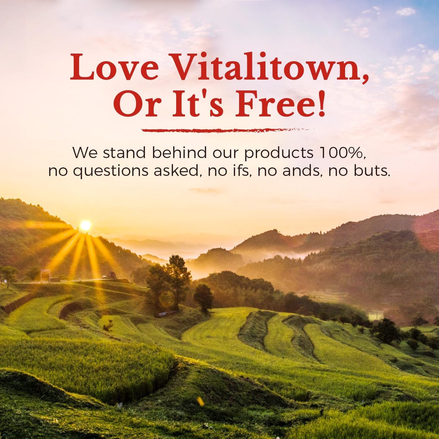 Vitalitown CoQ10 100mg Softgels with Extra Virgin Olive Oil for Maximum Absorption - Antioxidant & Heart Health Support - 120 Count