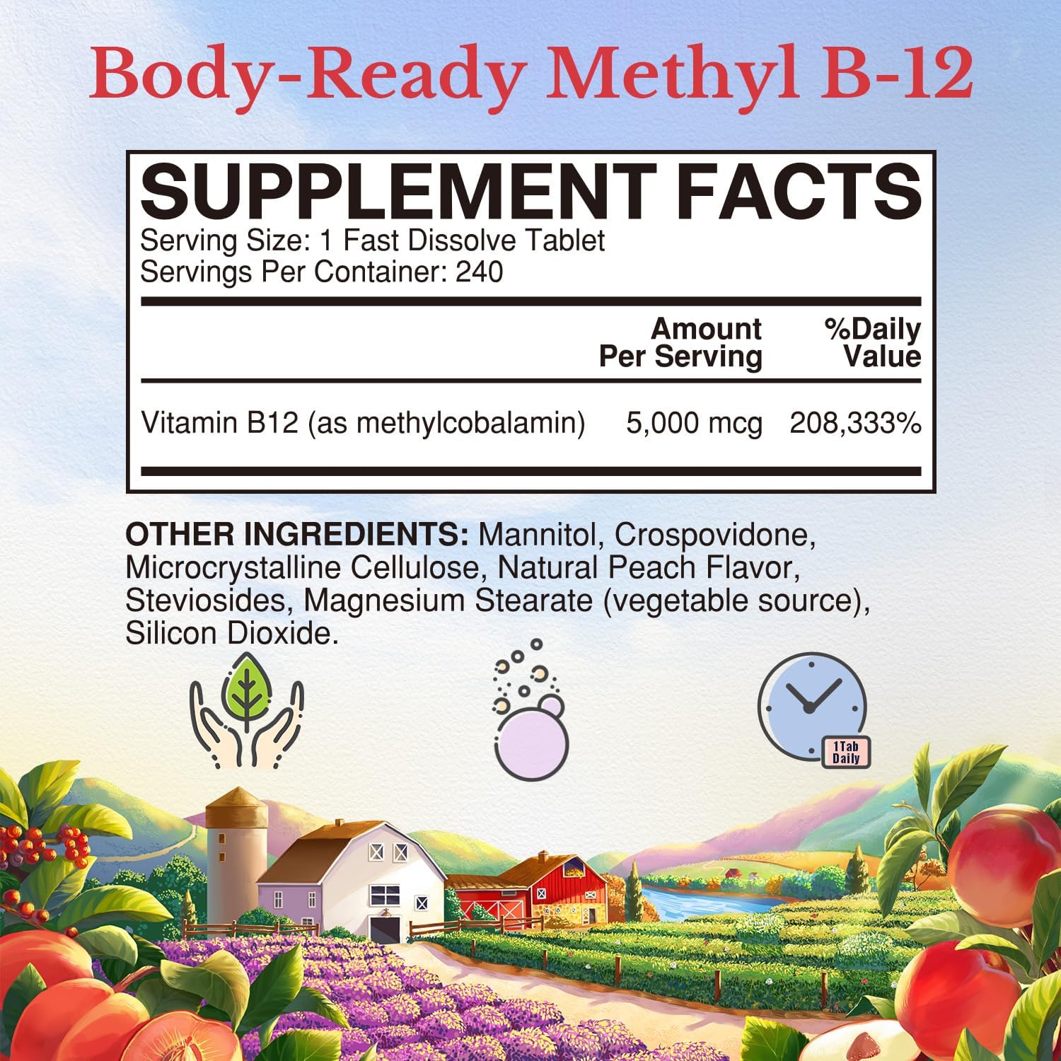 Vitalitown Methyl B12 5000 mcg Fast Dissolve Tablets, Natural Peach Flavor, Energy Support, Bioactive Formula, Sugar-Free - 240 Tablets