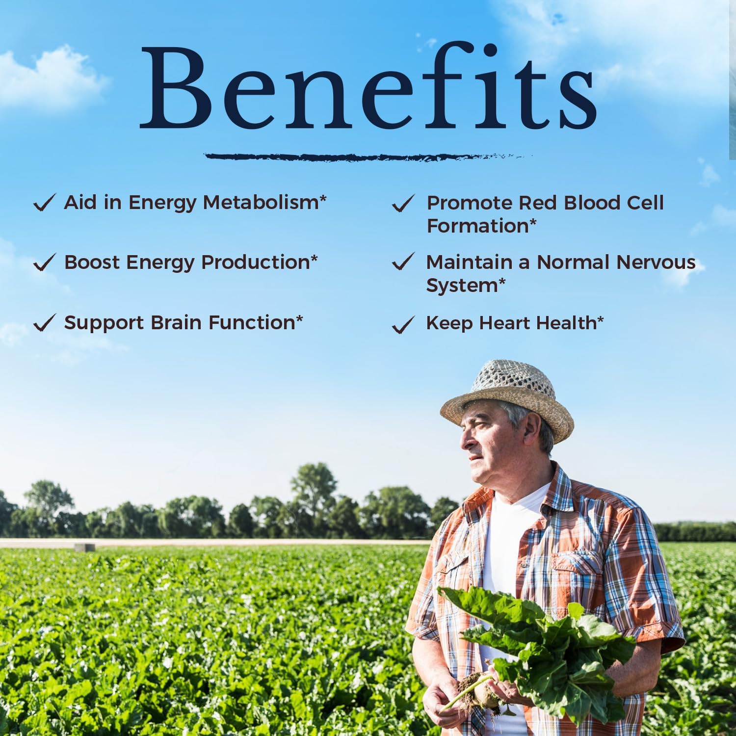 Vitalitown Methyl B12 5000 mcg Fast Dissolve Tablets, Natural Peach Flavor, Energy Support, Bioactive Formula, Sugar-Free - 240 Tablets