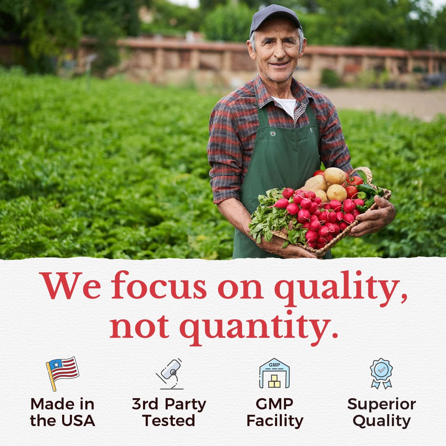 Vitalitown Methyl B12 5000 mcg Fast Dissolve Tablets, Natural Peach Flavor, Energy Support, Bioactive Formula, Sugar-Free - 240 Tablets