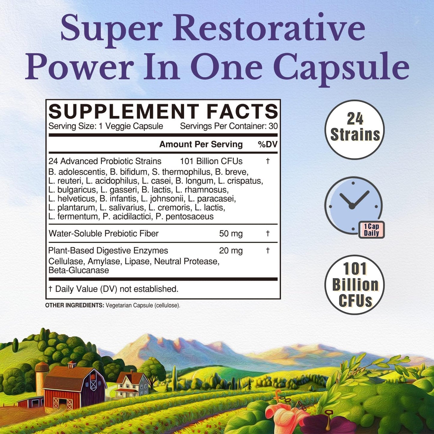 Vitalitown Probiotic Supplement: 101 Billion CFUs, 24 Strains, Enzymes, Prebiotics, Shelf Stable, Men & Women, 30 Caps
