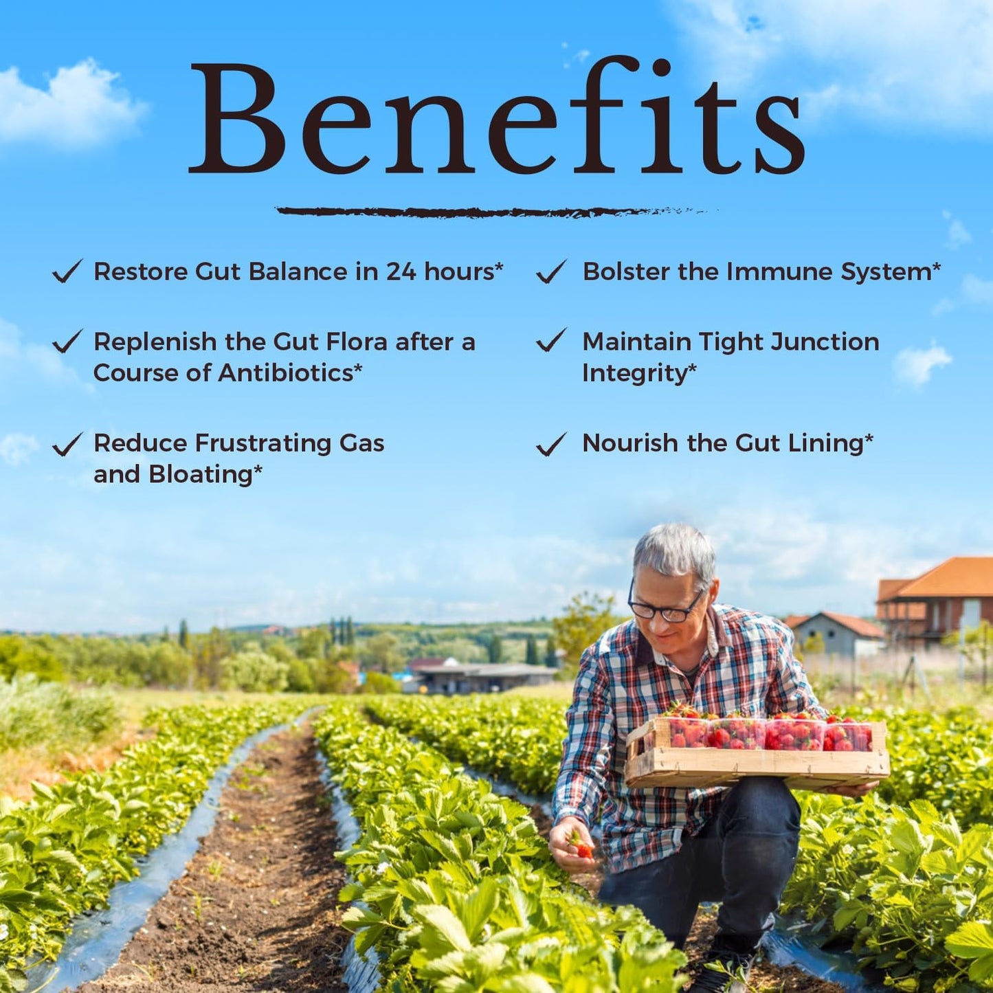 Vitalitown Probiotic Supplement: 101 Billion CFUs, 24 Strains, Enzymes, Prebiotics, Shelf Stable, Men & Women, 30 Caps