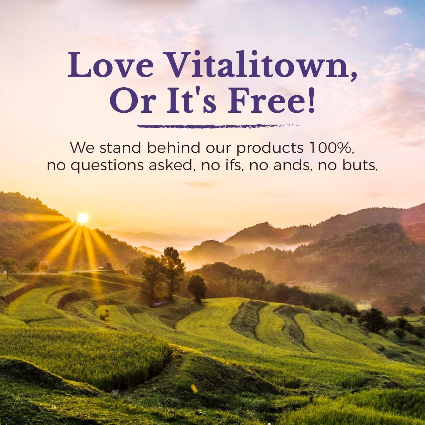 Vitalitown Probiotic Supplement: 101 Billion CFUs, 24 Strains, Enzymes, Prebiotics, Shelf Stable, Men & Women, 30 Caps