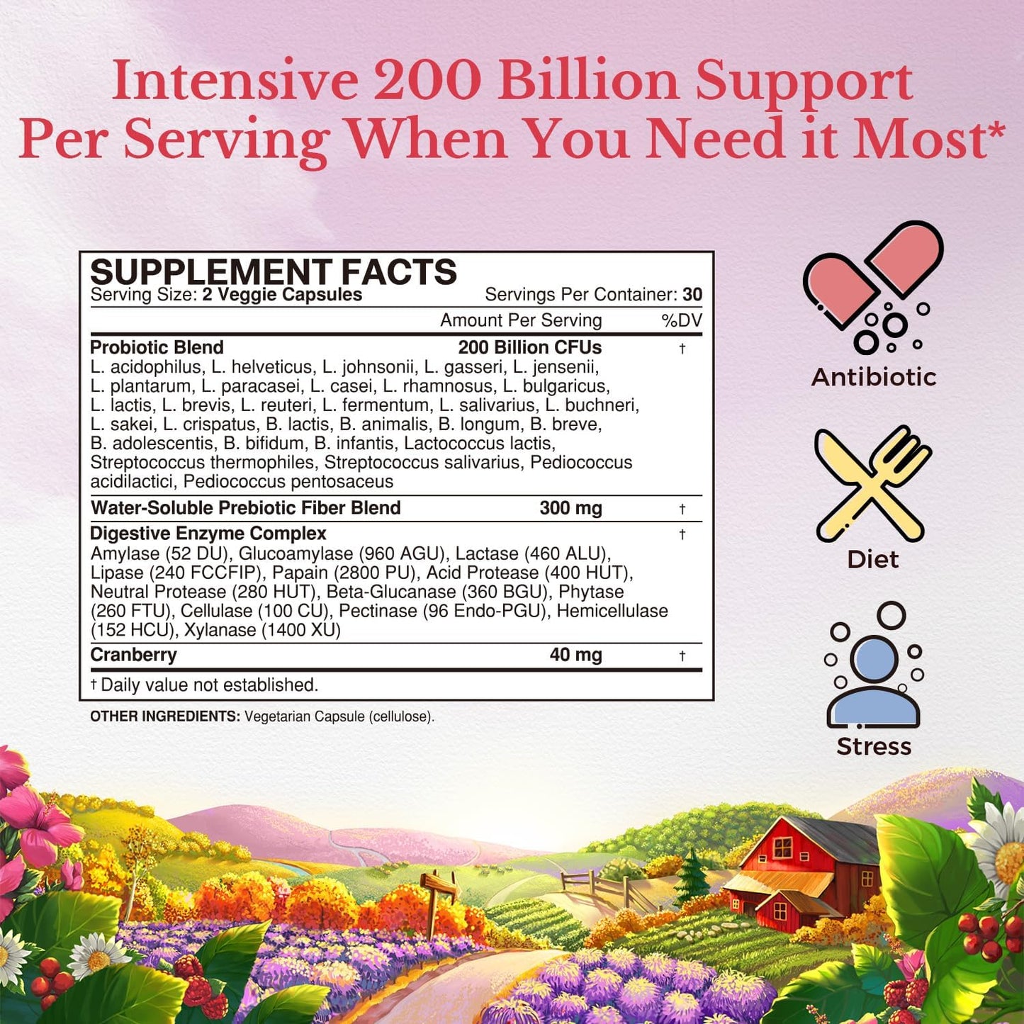 Vitalitown Women's Probiotics - 200 Billion CFUs, 30 Strains - 60 ct Vegan Capsules - Intensive Digestive & Vaginal Support - Non-GMO, Shelf Stable & Acid Resistant