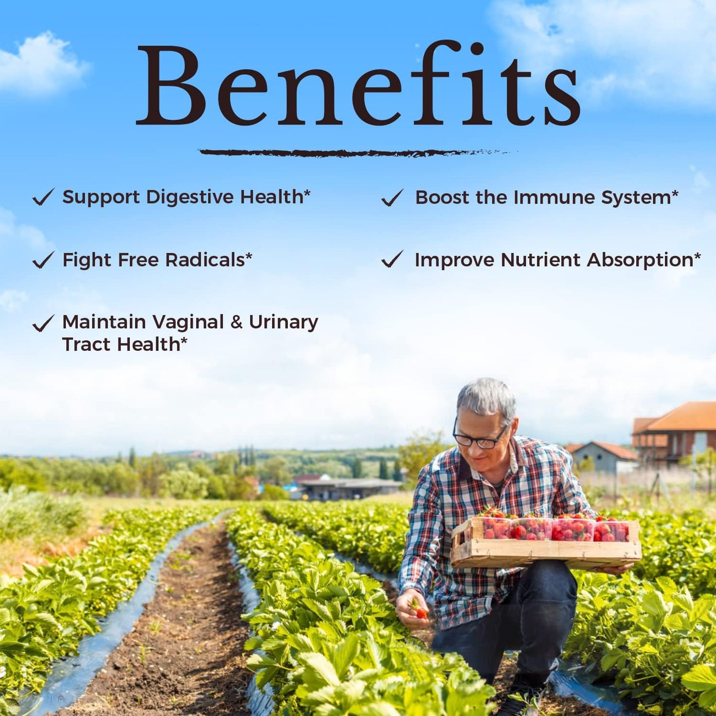 Vitalitown Women's Probiotics: 120 Billion CFUs, 30 Strains, Prebiotics, Digestive Enzymes, Cranberry - Vegan Capsules for Gut & Vaginal Health - 60ct