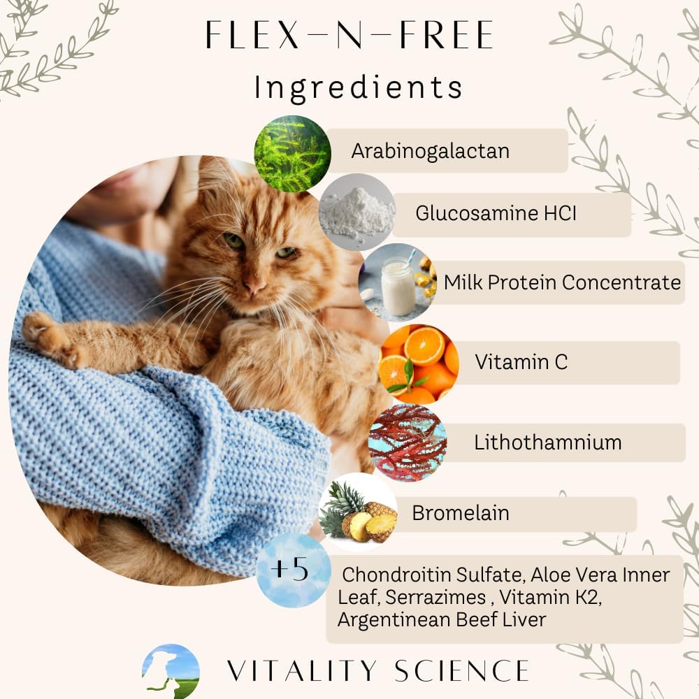 Vitality Science Flex N Free + Vital Pet Lipids for Dogs | Bone & Joint Health | Stiffness Relief | Neurological & Hormonal Support | Large Breed Formula