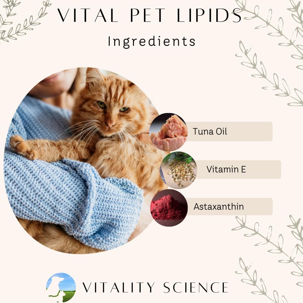 Vitality Science Flex N Free + Vital Pet Lipids for Dogs | Bone & Joint Health | Stiffness Relief | Neurological & Hormonal Support | Large Breed Formula