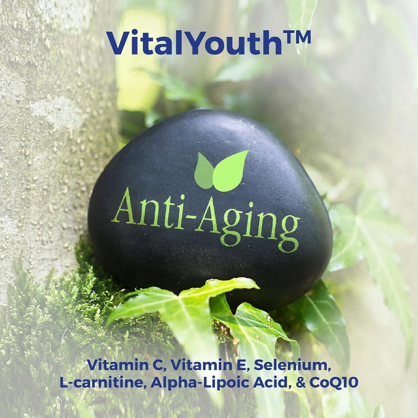 VitalRemedyMD Vital Youth: Energy Booster & Oxidation Protection - 60 Anti-Aging Capsules for Healthy Aging