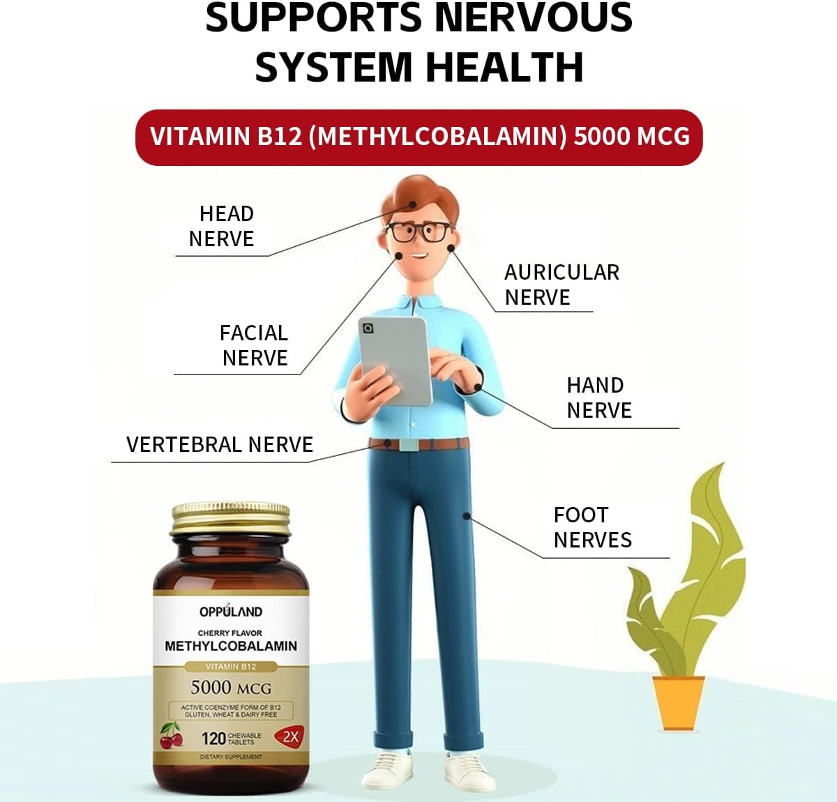 Vitamin B12 and Folic Acid Chewable Tablets for Cirrhosis and Liver Steatosis - 5000 mcg Methylcobalamin, 120 Tablets, Cherry Flavor