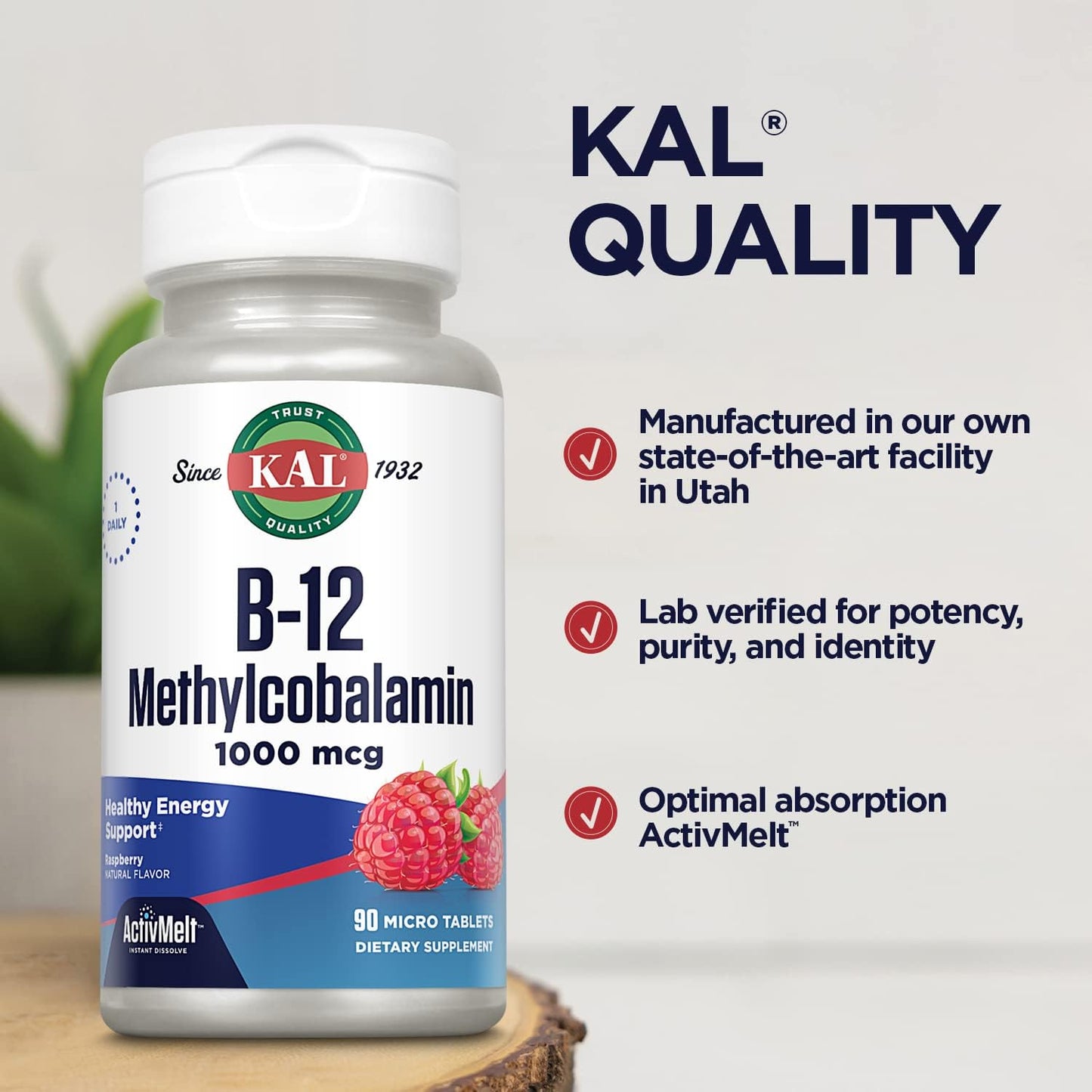 Vitamin B12 Methylcobalamin 1000mcg Fast Dissolve ActivMelt - Raspberry Flavor, Energy & Metabolism Support, 90 Servings