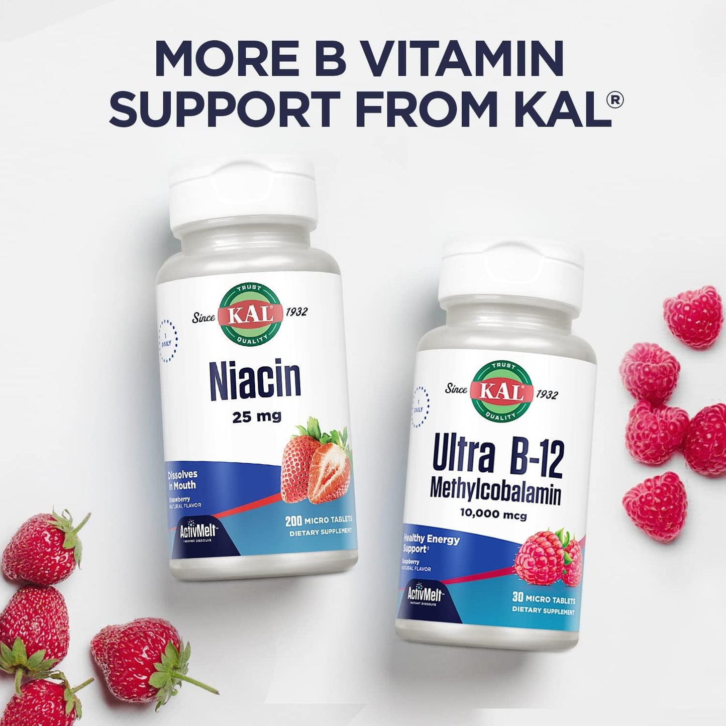 Vitamin B12 Methylcobalamin 1000mcg Fast Dissolve ActivMelt - Raspberry Flavor, Energy & Metabolism Support, 90 Servings