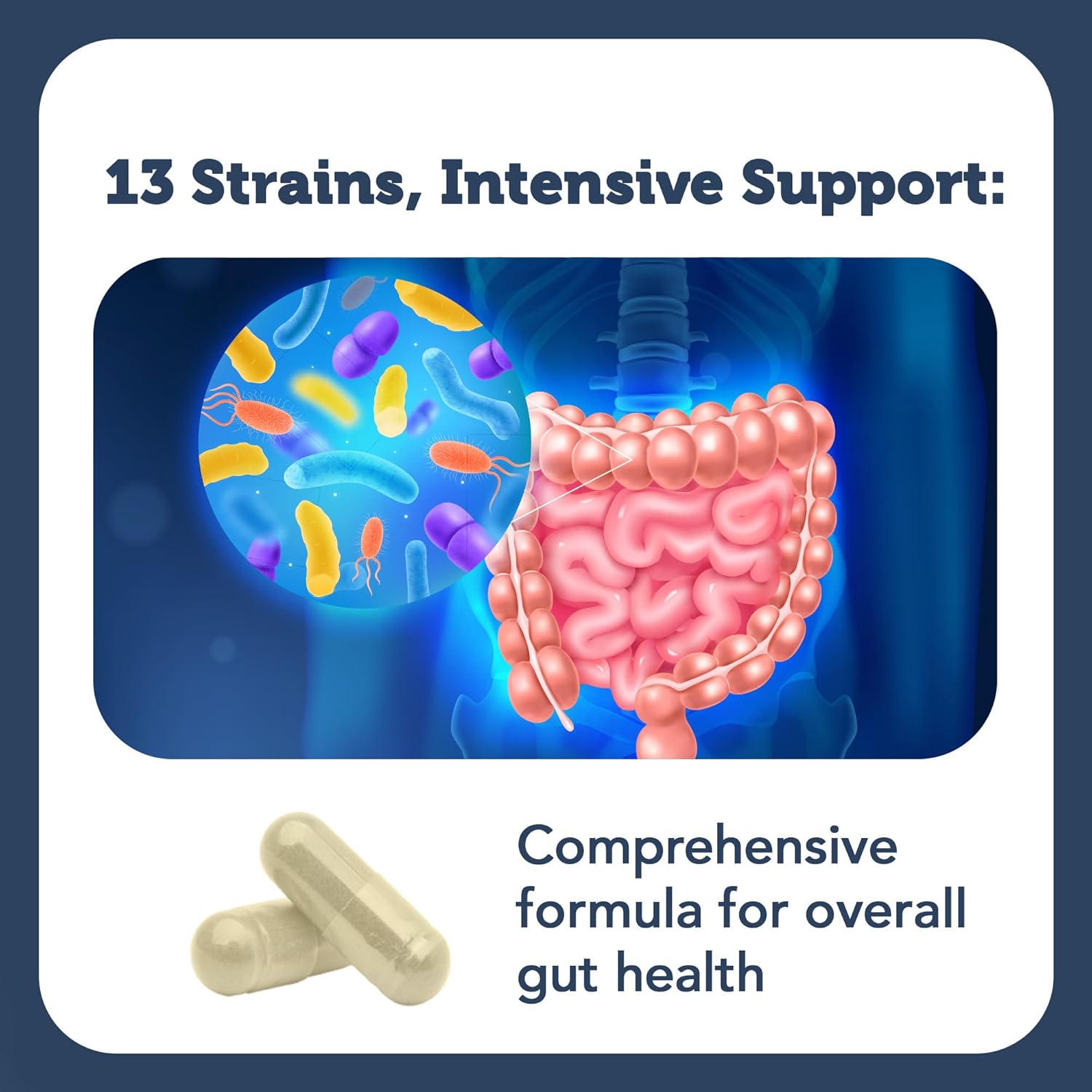 Vitamin Bounty Pro-50 Probiotic with 50 Billion Organisms and 13 Strains - Gut & Digestive Health Support, Delayed Release Capsules with Prebiotic Greens - 120 Capsules