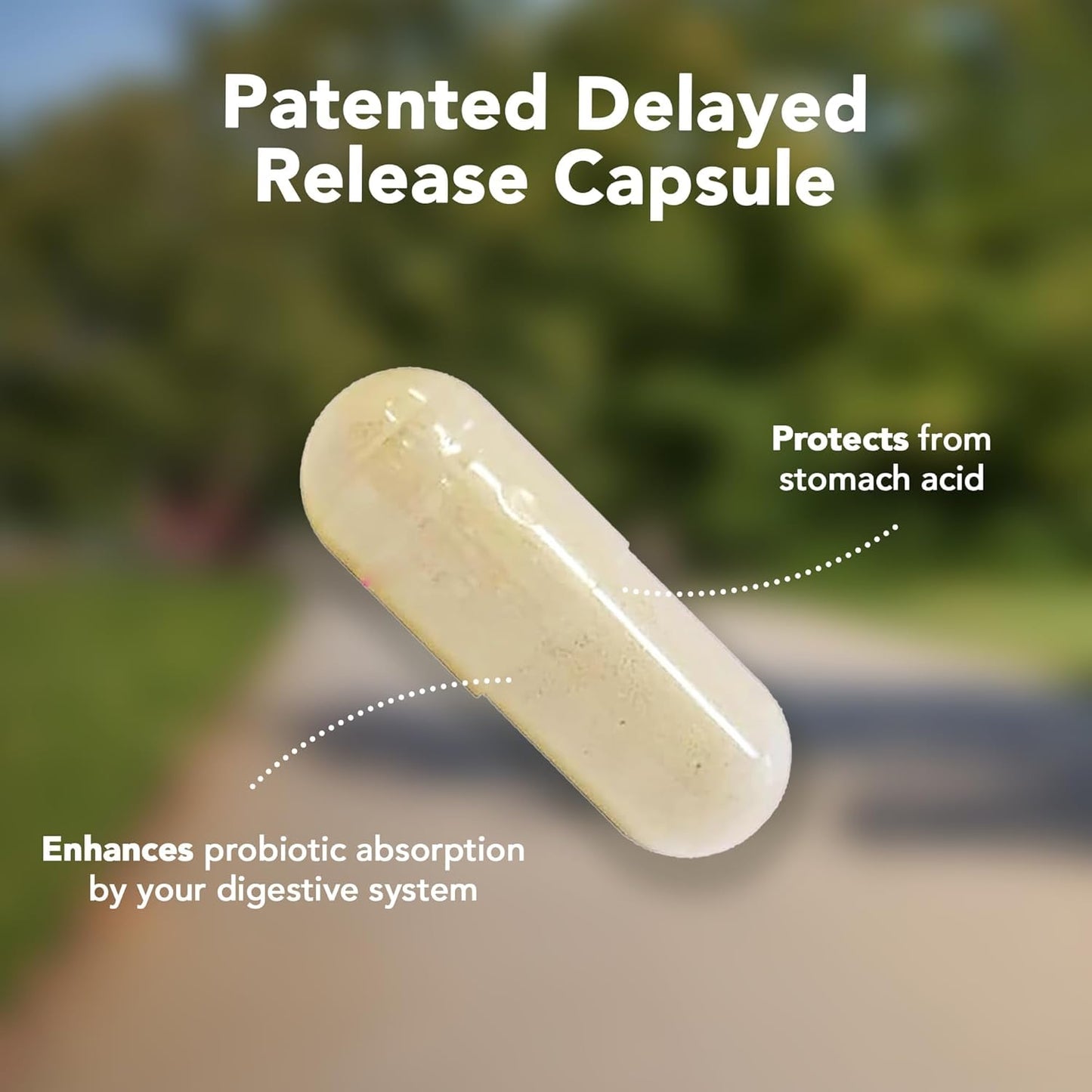 Vitamin Bounty Women's Pro-Daily Probiotic with Cranberry - 10 Billion CFUs, Supports Vaginal, Digestive, and pH Balance - 2 Pack of 60 Capsules