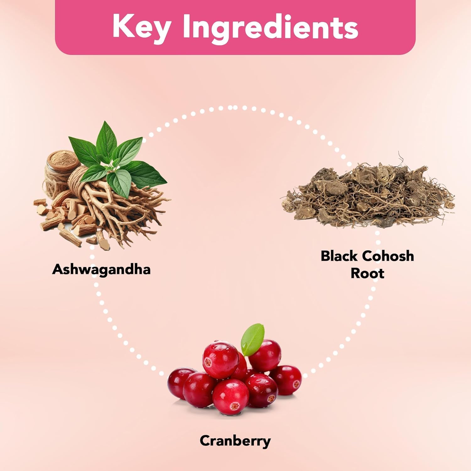 Vitamin Bounty Women's Pro-Daily Probiotic with Cranberry - 10 Billion CFUs, Supports Vaginal, Digestive, and pH Balance - 2 Pack of 60 Capsules