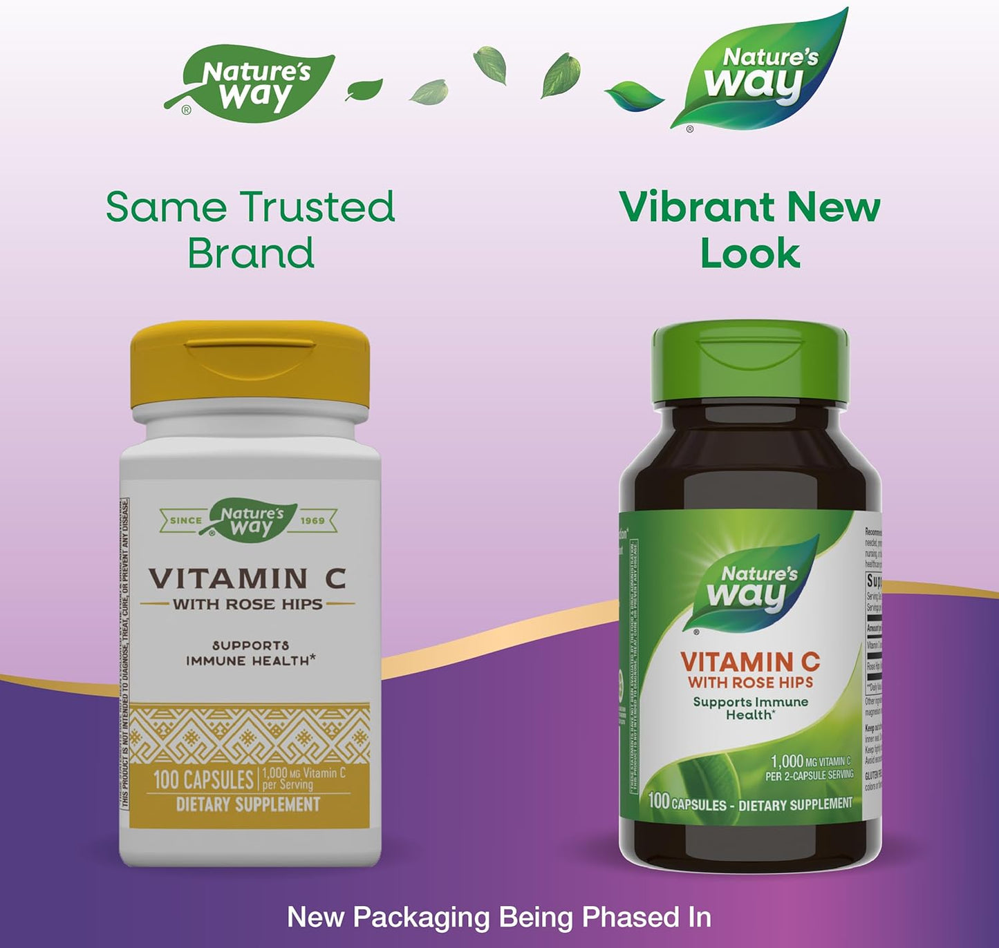 Vitamin C with Rose Hips Capsules - Immune Support & Healthy Skin - 1,000 mg - 100 Count