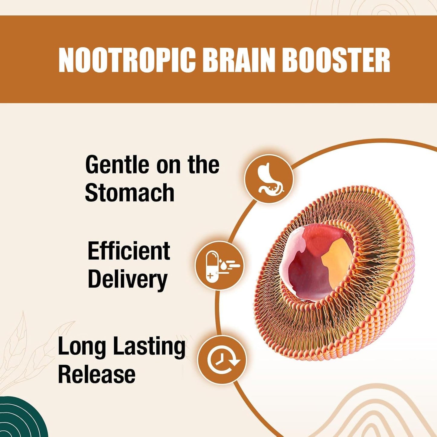 Vitamin E Brain Supplements with Curcumin for Memory, Focus, and Cognitive Function - 120 Servings