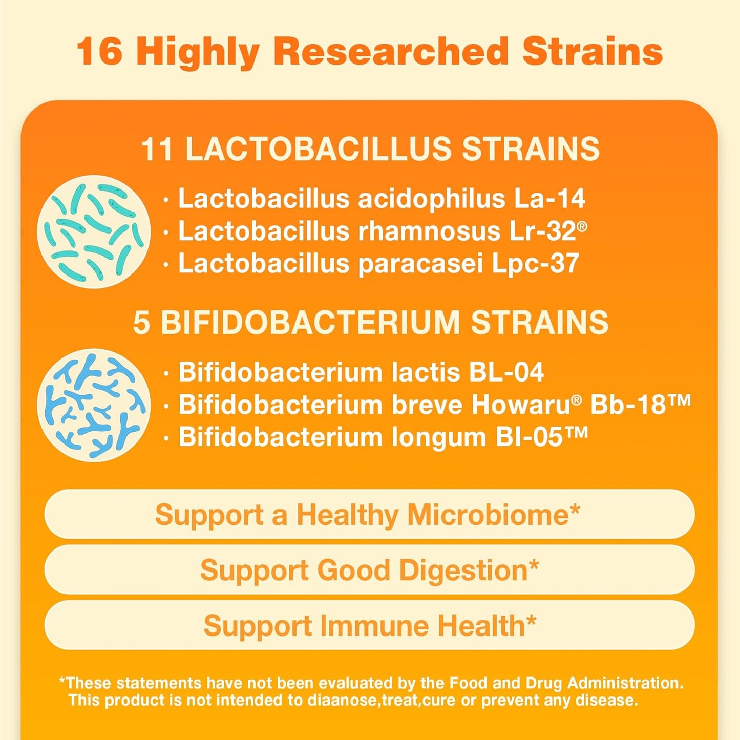 Vitamin World Probiotic 16: 20 Billion CFU, 16 Strains for Digestive & Immune Health - Non-GMO, Gluten Free, 120 Capsules