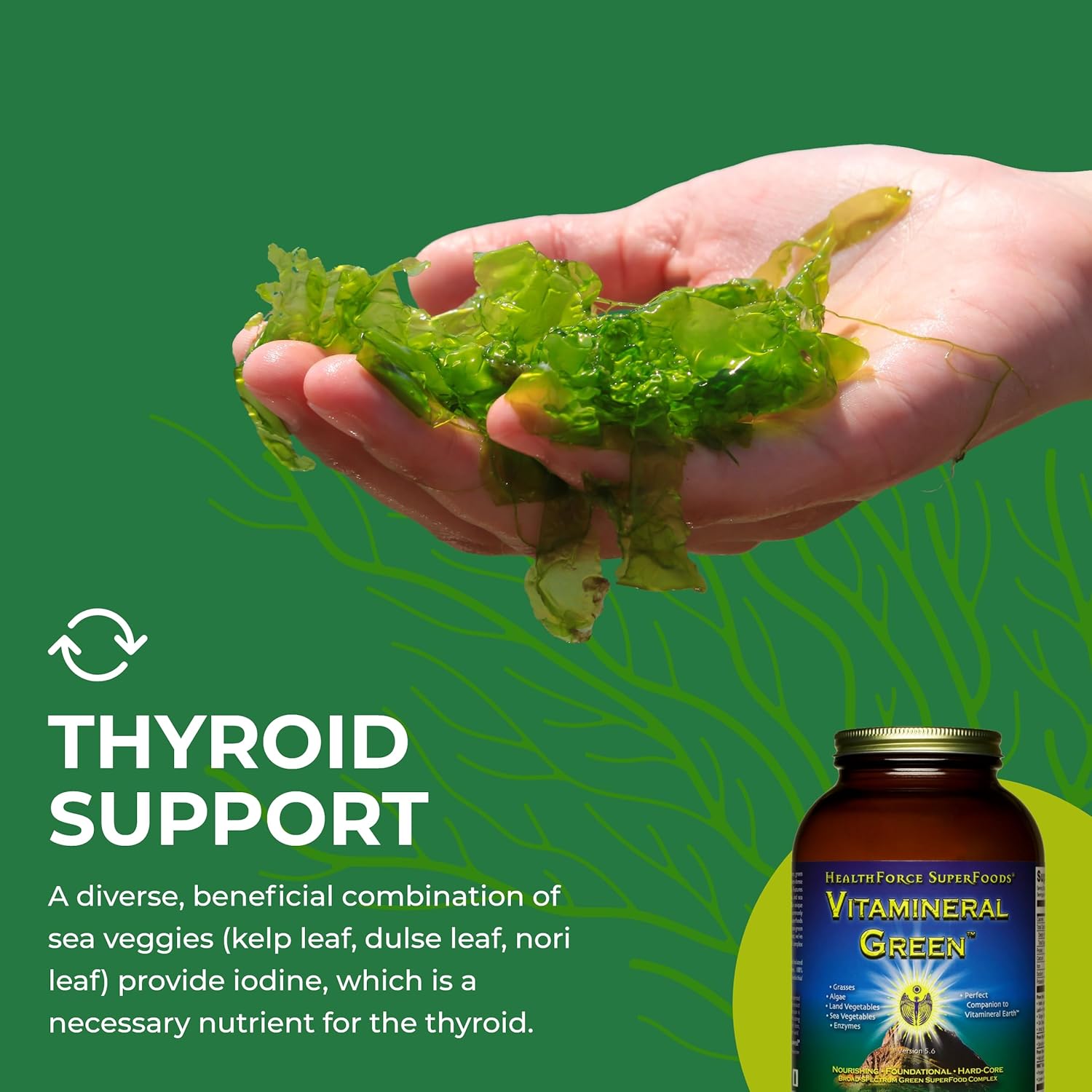 Vitamineral Green by HealthForce SuperFoods: Immune & Thyroid Support Mineral Supplement - Green Powder with Land Ingredients - 500g Vegan & Gluten-Free - BoostGo Australia