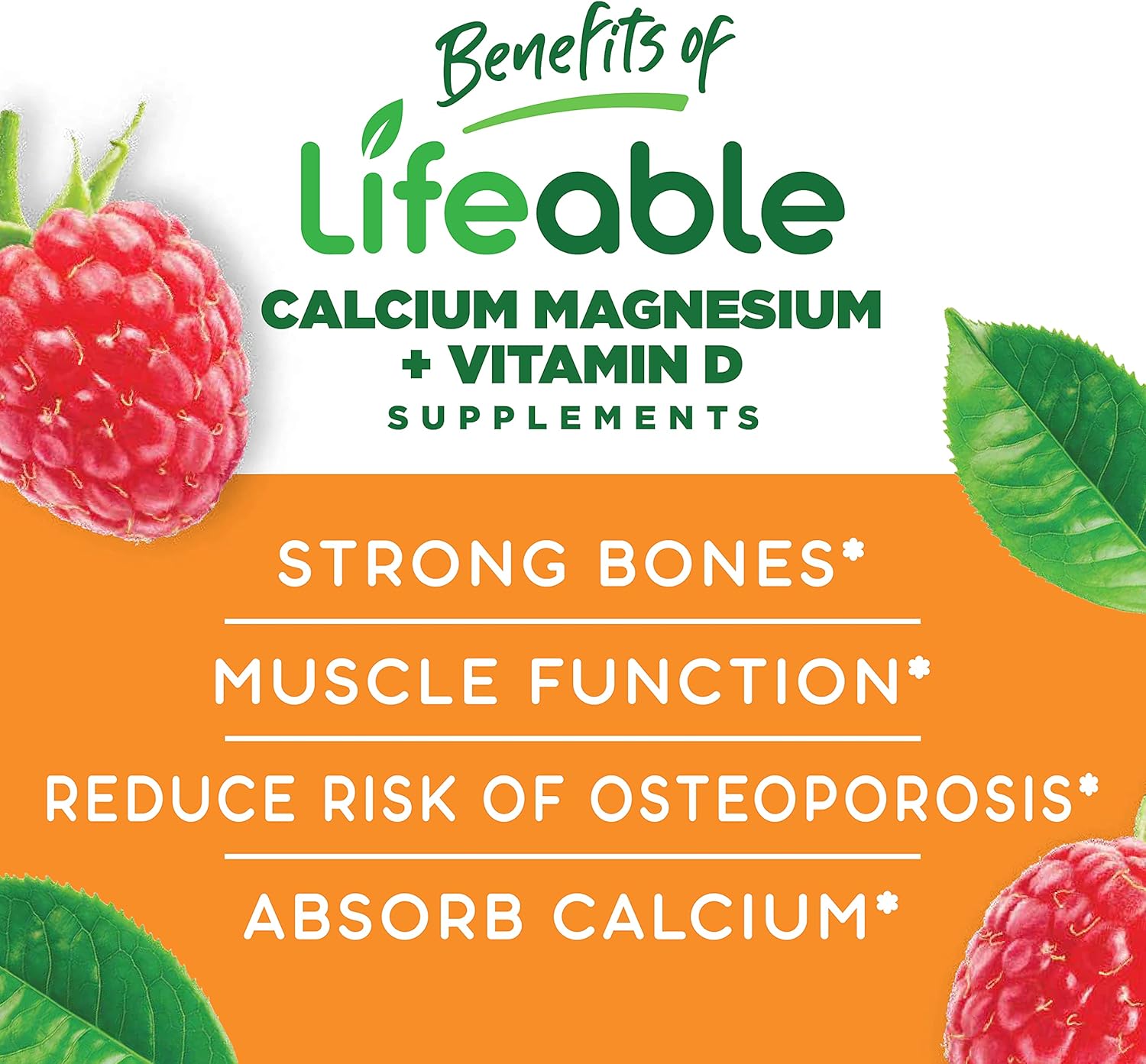 VitaWorks Lifeable Probiotic Gummies Bundle with Calcium Magnesium - 2 Billion CFU, Vitamin Supplement, Gluten-Free, GMO-Free Chewables