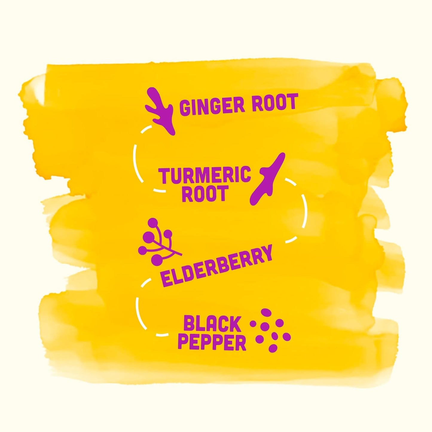 Vive Organic Elderberry Shot with Turmeric & Ginger for Immune Support - Gluten Free, Vegan - 2 Fl Oz (Pack of 12)