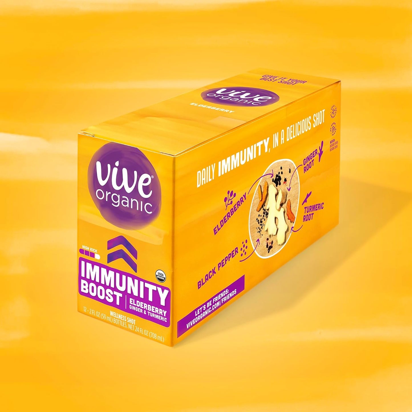 Vive Organic Elderberry Shot with Turmeric & Ginger for Immune Support - Gluten Free, Vegan - 2 Fl Oz (Pack of 12)