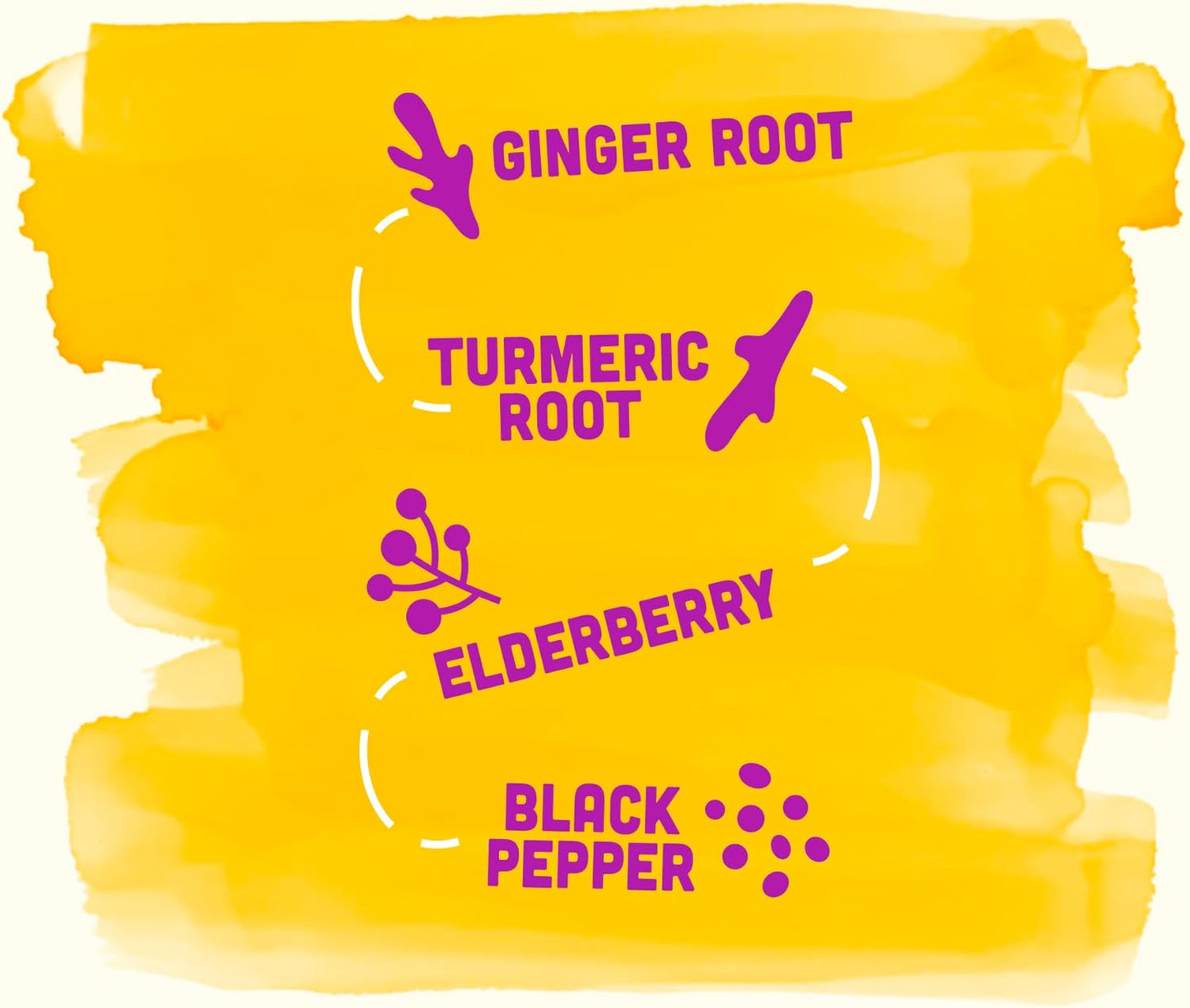 Vive Organic Elderberry Wellness Shot - Immunity Boost 2 oz