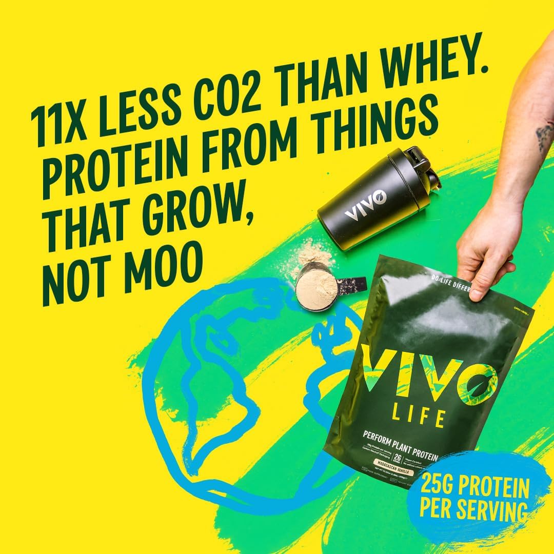 Vivo Life Perform Plant Protein Powder - Strawberry & Vanilla Flavor, Vegan, 26 Servings, 2.17lb, BCAA Pea &metabolism boosterBlend, Gluten & Soy Free