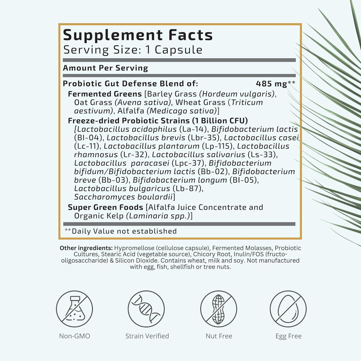 VTC VitaTradingCo. Probiotic Gut Defense Capsules - 1 Billion CFU with Prebiotics for Digestive Health - 90 Count