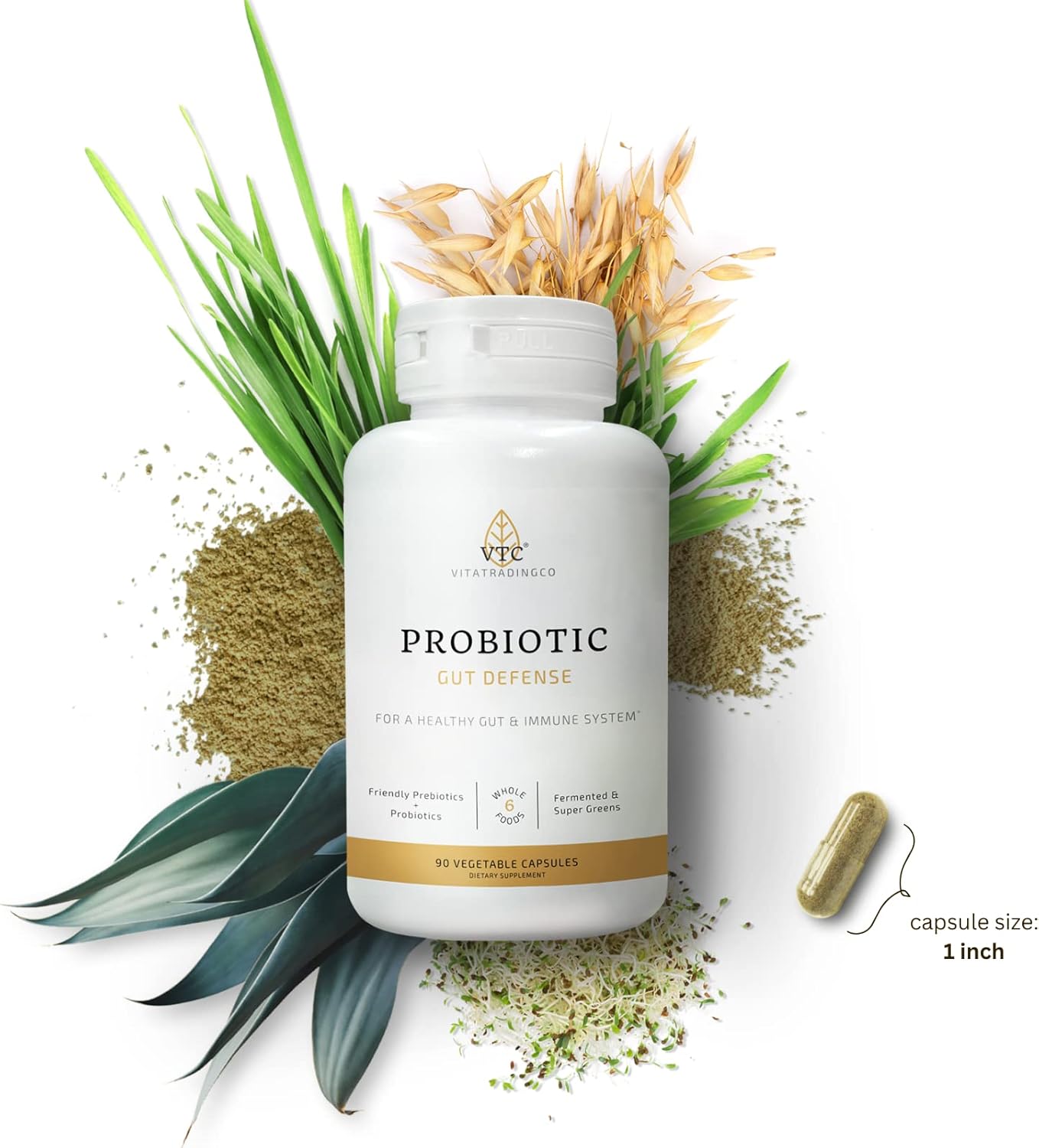 VTC VitaTradingCo. Probiotic Gut Defense Capsules - 1 Billion CFU with Prebiotics for Digestive Health - 90 Count