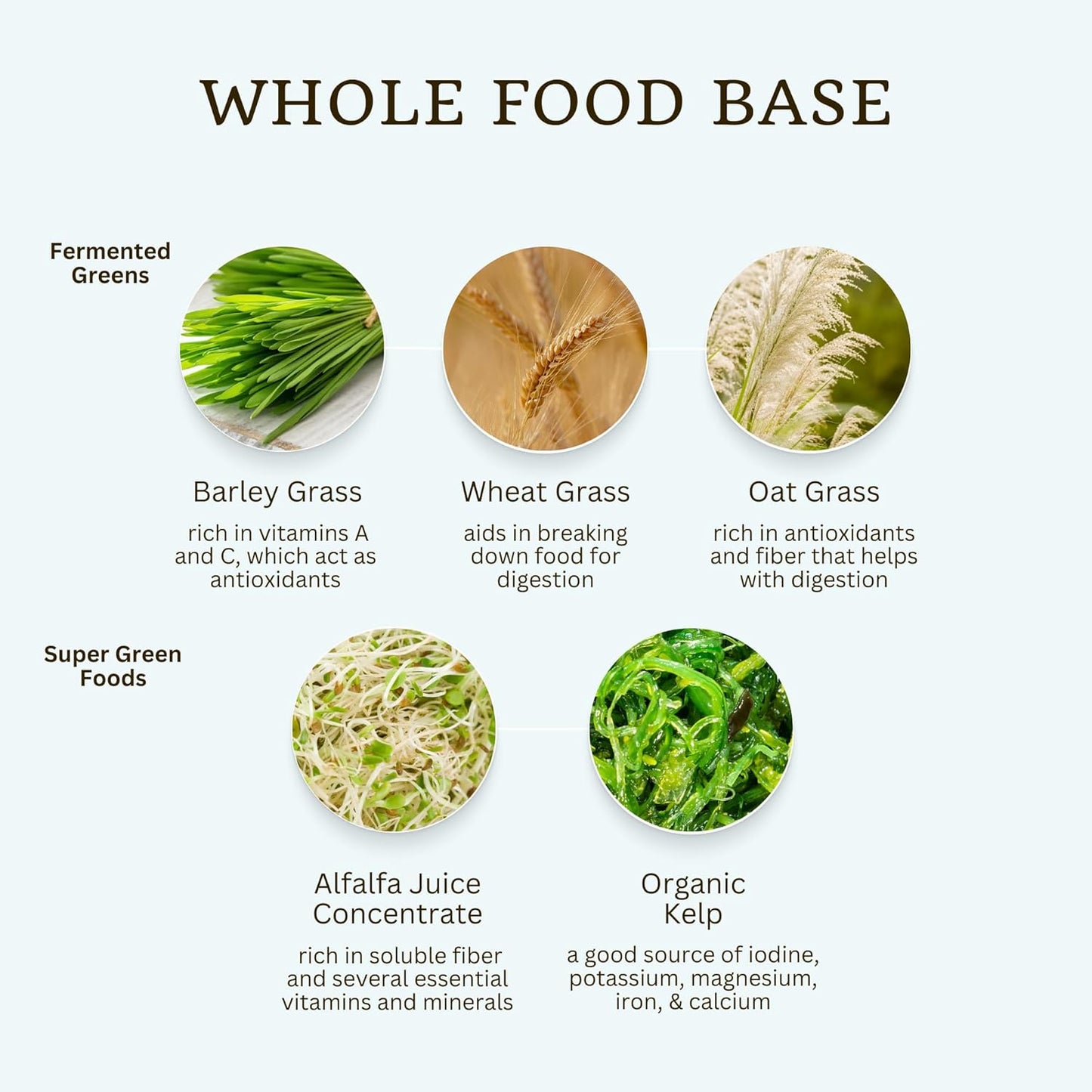 VTC VitaTradingCo. Probiotic Gut Defense Capsules - 1 Billion CFU with Prebiotics for Digestive Health - 90 Count