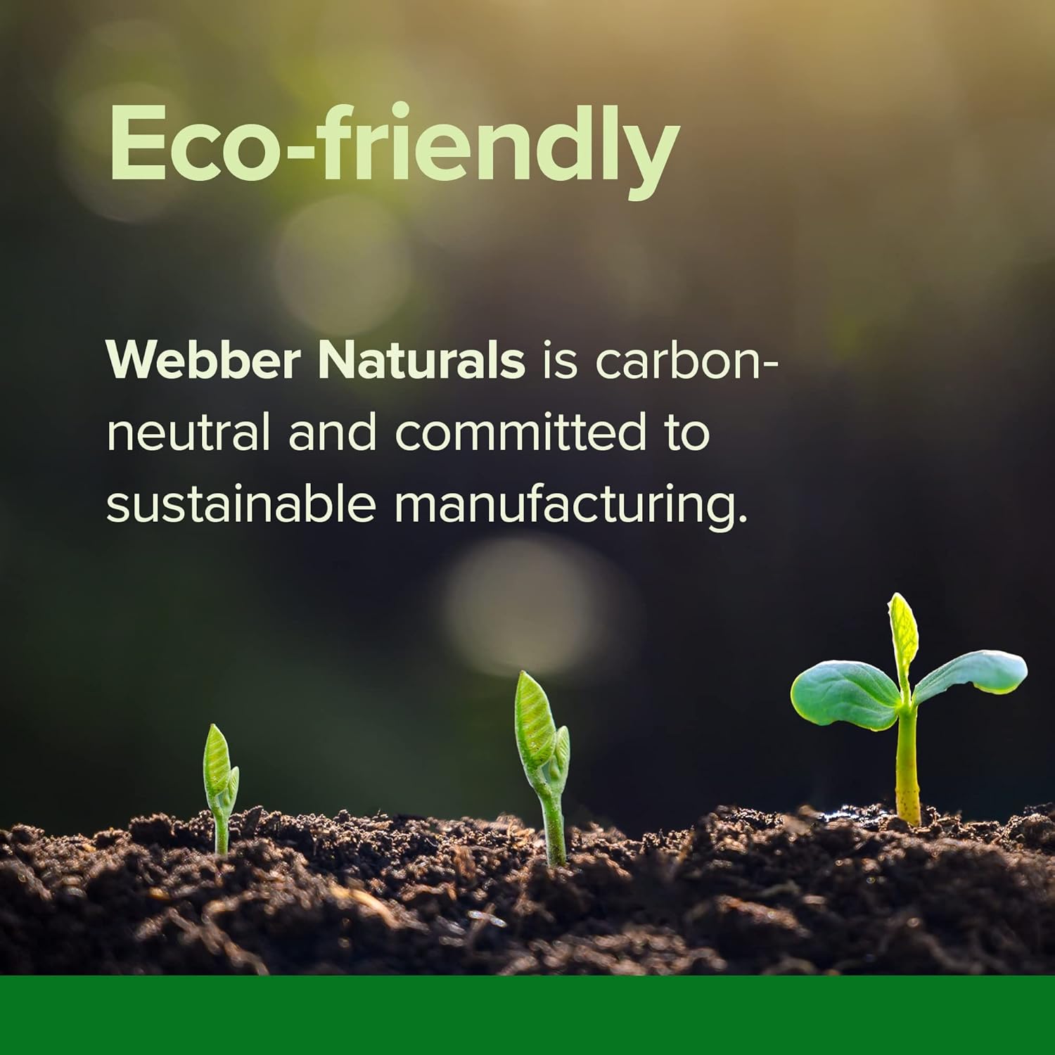 Webber Naturals Vitamin B12 5000 mcg Fast-Melting Tablets for Energy & Metabolism, 60 ct Vegan Gluten-Free