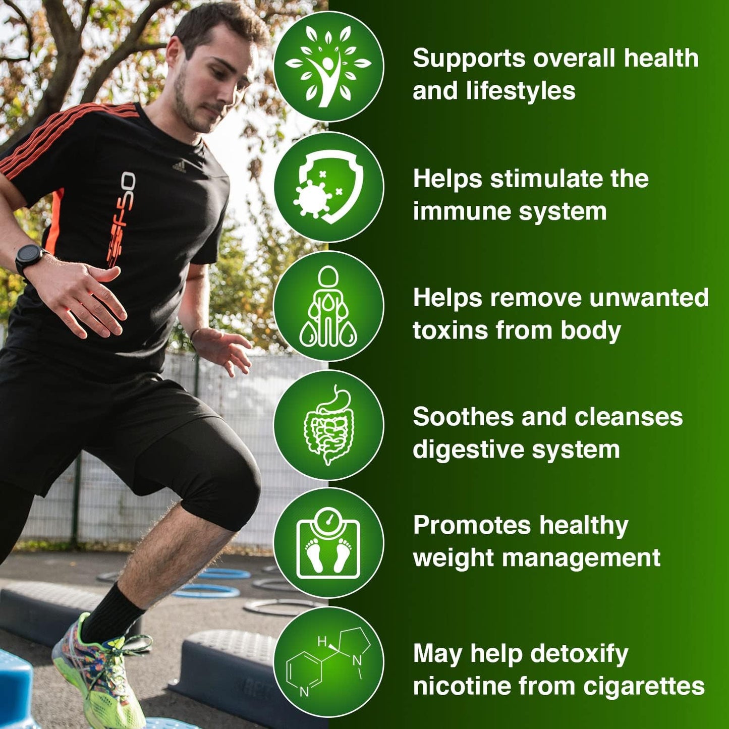 Wellgenix 5-Day Detox Cleanse - Complete Body Cleanse for Liver, Urinary Tract, Kidney, Digestive System - Natural Cleansing Support - 40 Capsules
