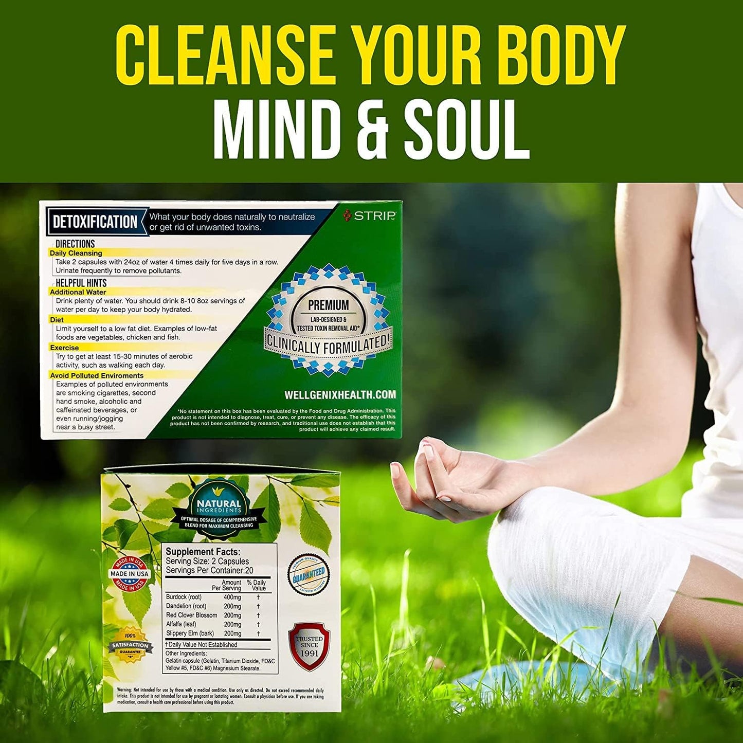 Wellgenix 5-Day Detox Cleanse - Complete Body Cleanse for Liver, Urinary Tract, Kidney, Digestive System - Natural Cleansing Support - 40 Capsules