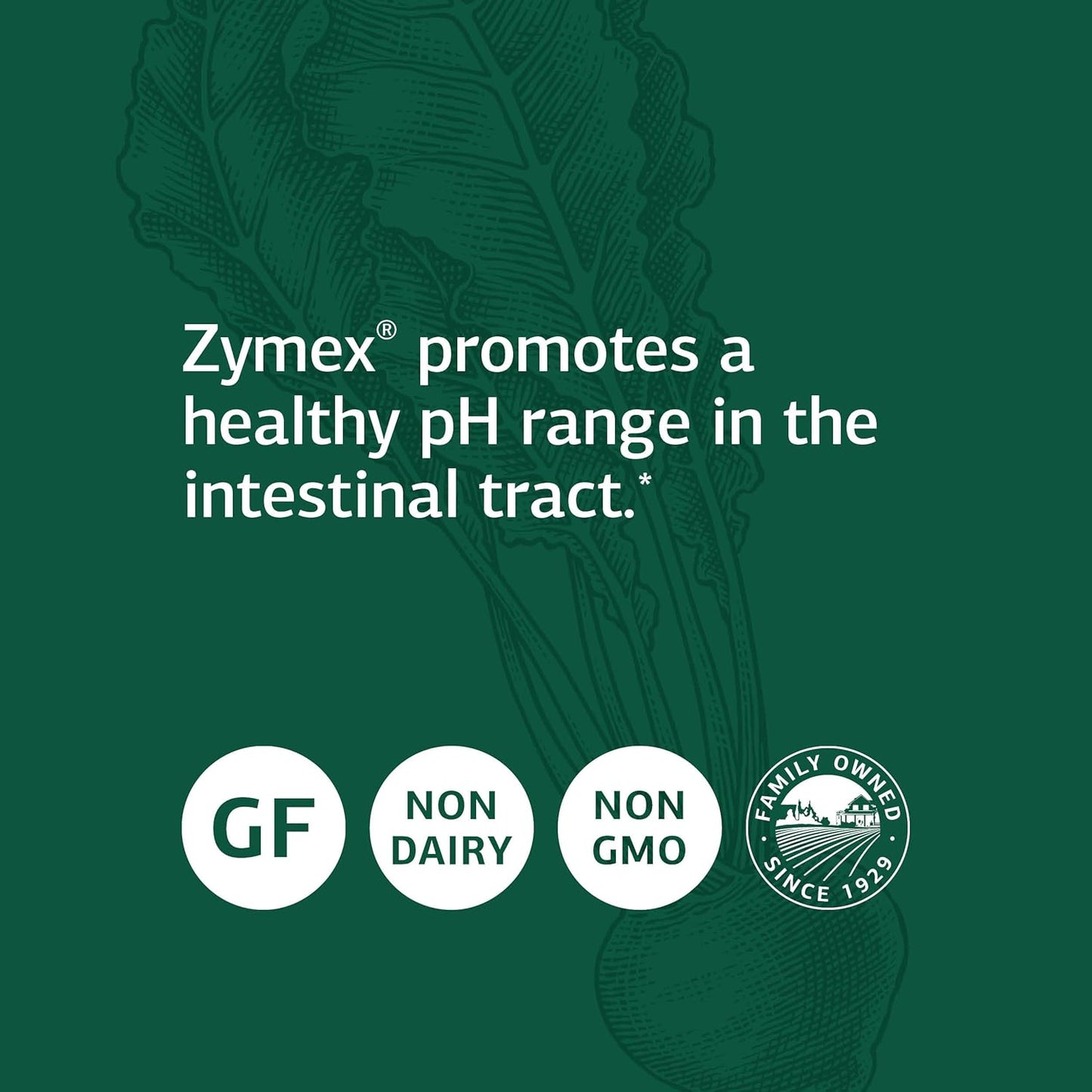 Whole Food Digestion Support: Standard Process Zymex Capsules with Rice Bran, Spanish Moss, and Beet Root - 150 Capsules