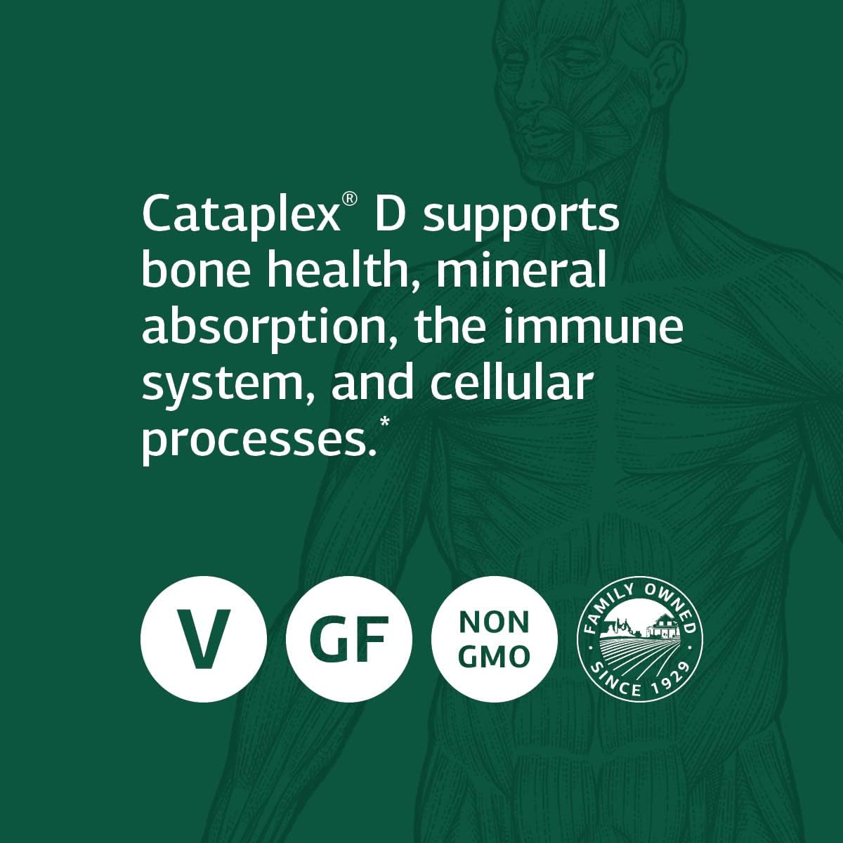 Whole Food Immune Support & Digestive Health with Standard Process Cataplex D - Vegetarian - 180 Tablets