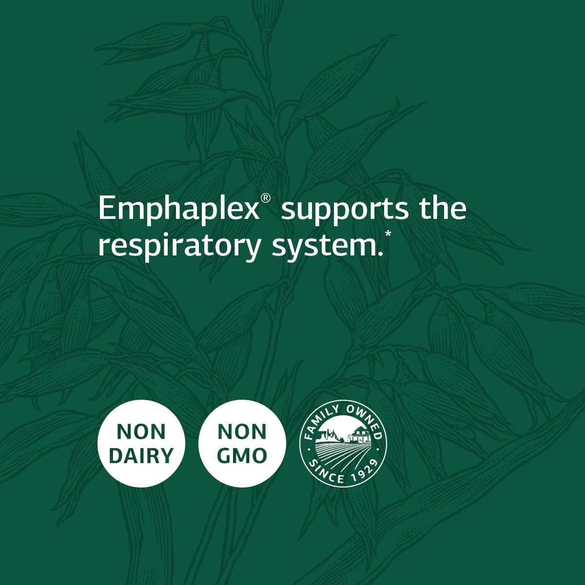 Whole Food Lung Support Supplement with Thiamin, Riboflavin, Choline - 90 Capsules by Standard Process Inc.